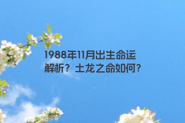 1988年11月出生命运解析？土龙之命如何？